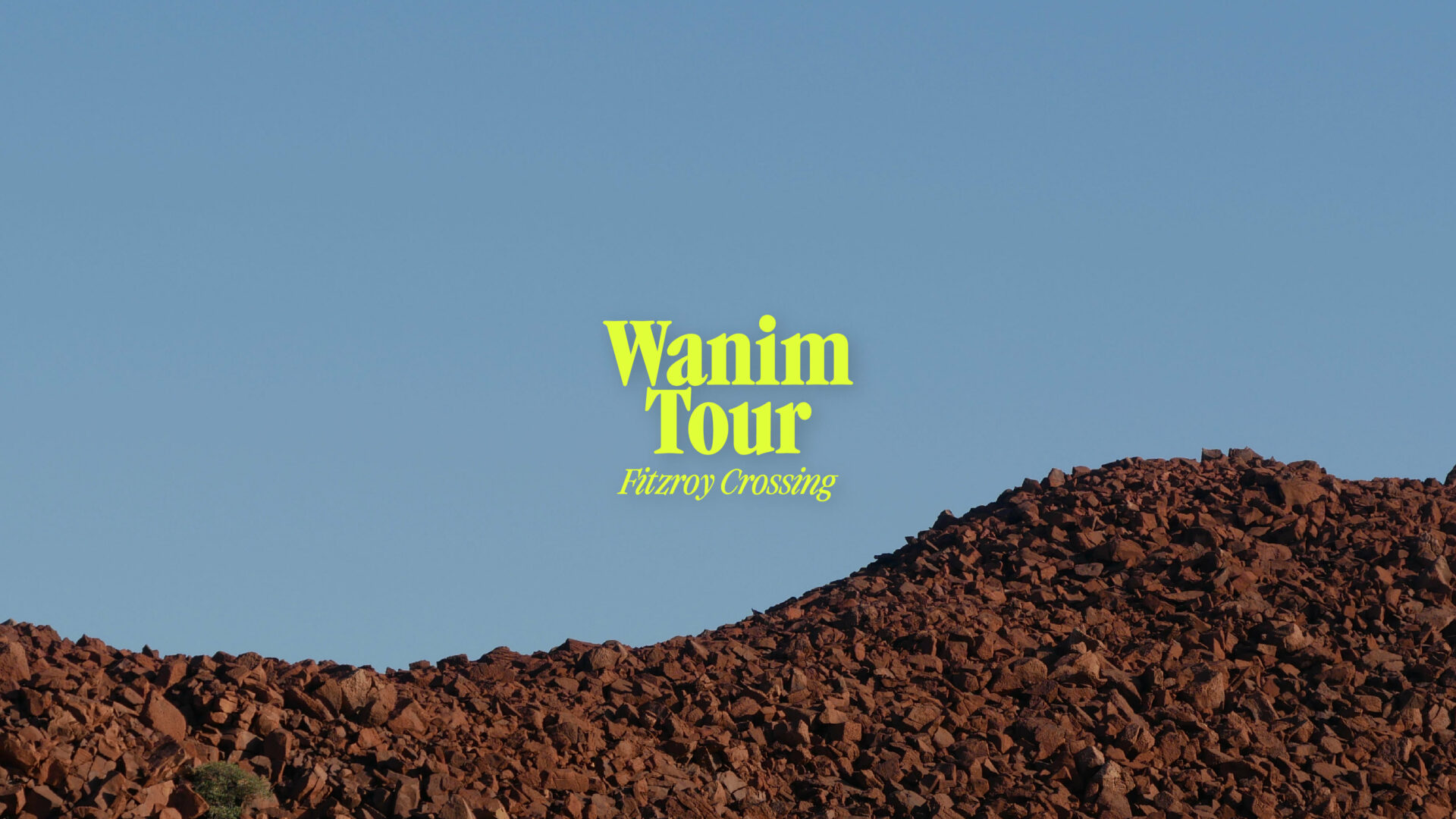 Wanim Website Header FX