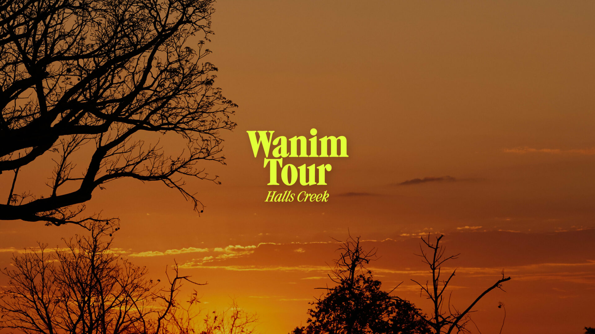 Wanim Website Header HC