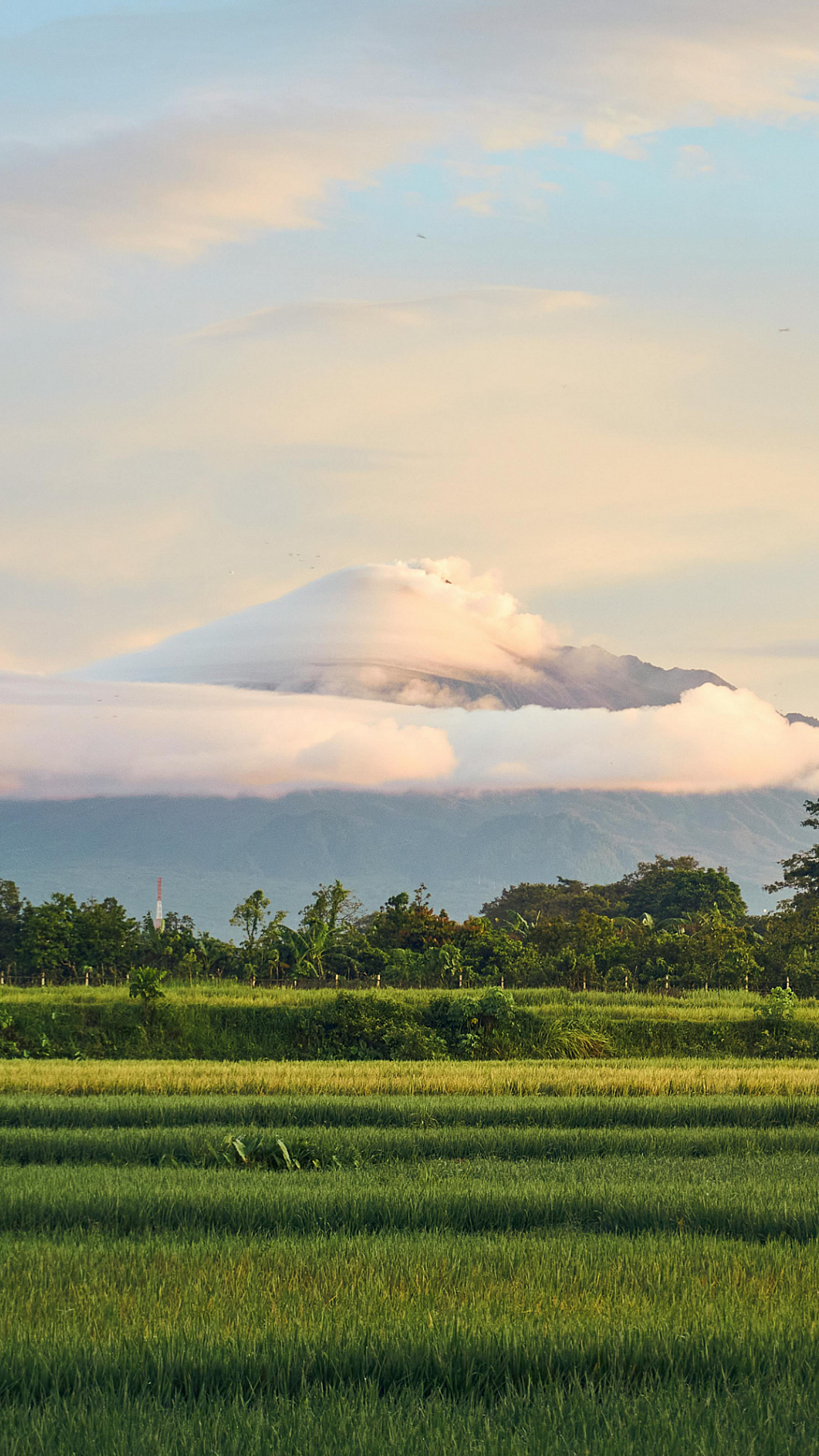 SC25 Kai Jawa Content