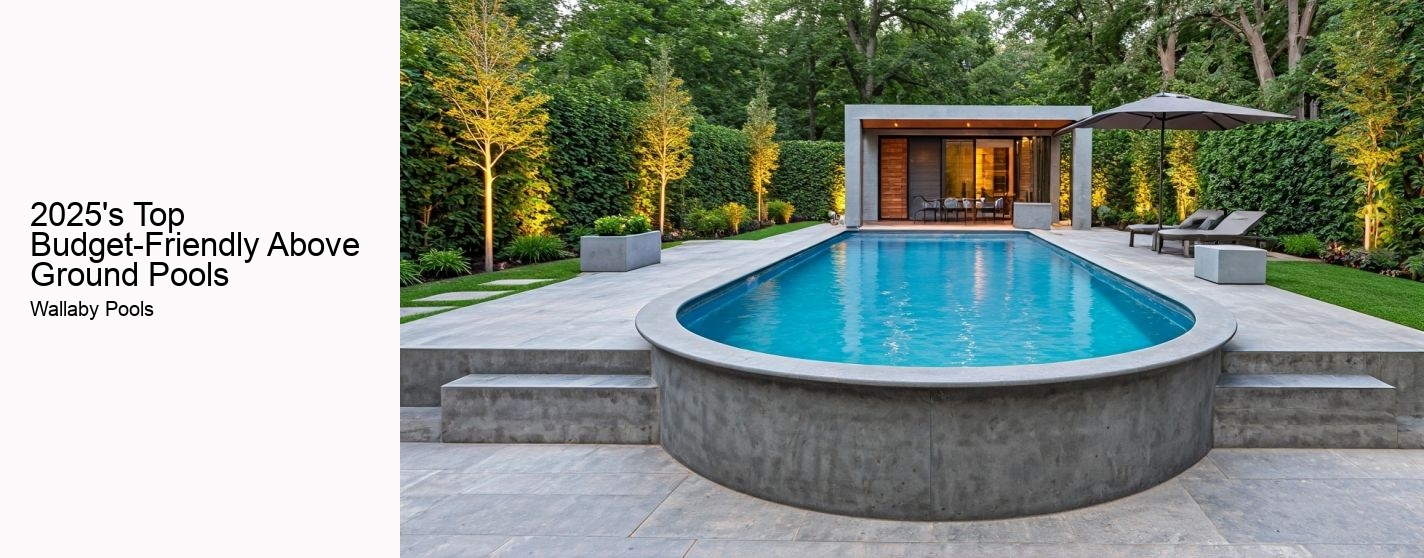 2025's Top Budget-Friendly Above Ground Pools