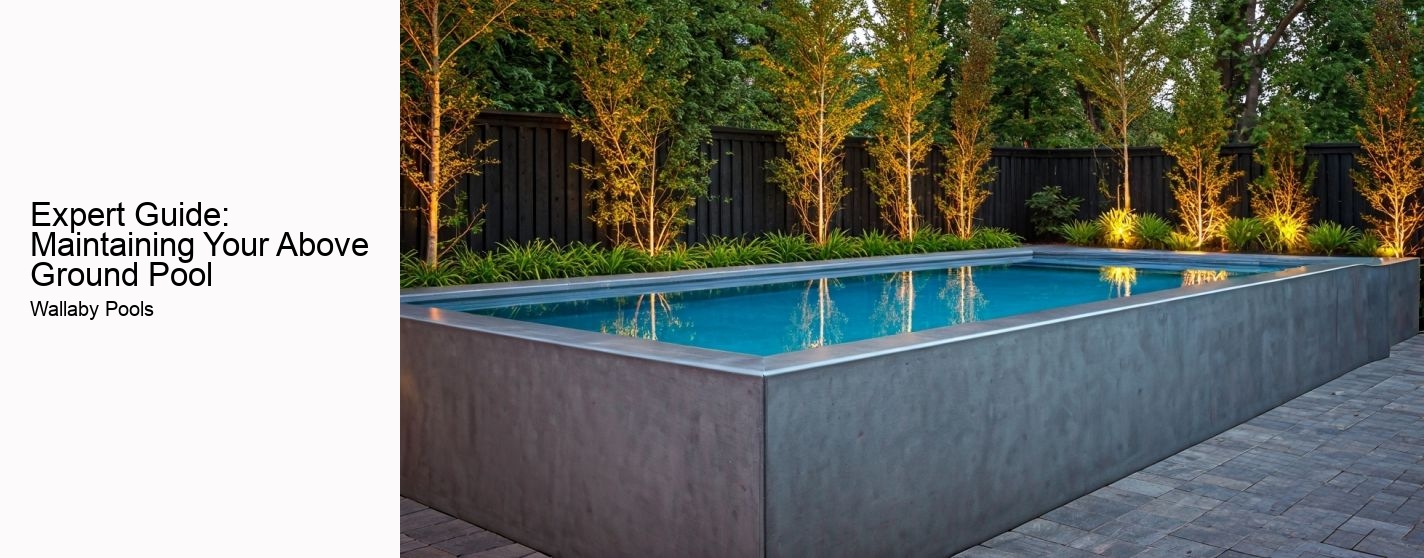 Expert Guide: Maintaining Your Above Ground Pool