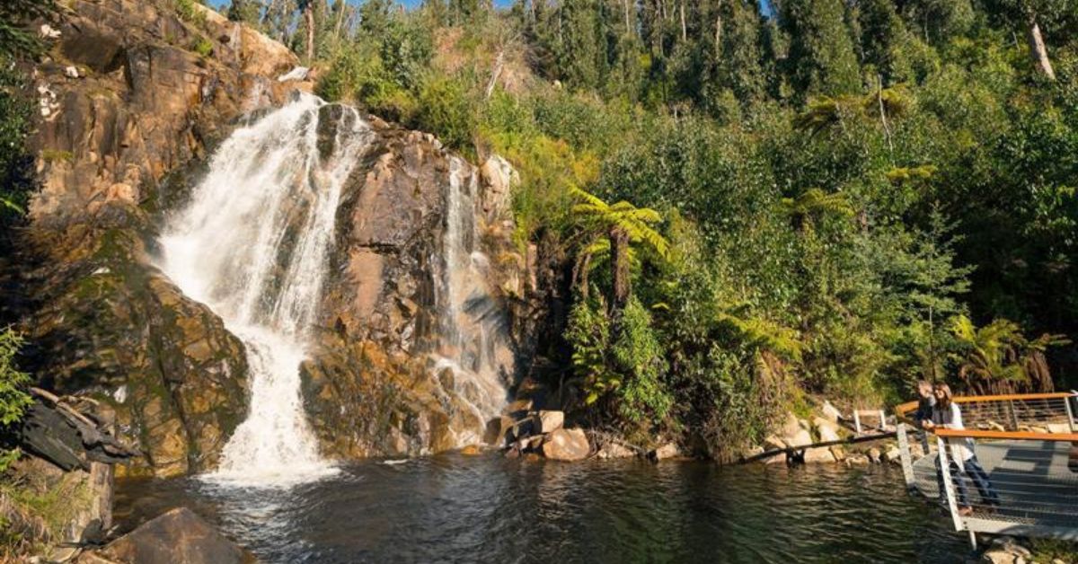 TOP NATURE ATTRACTIONS IN MELBOURNE FOR TRAVELERS