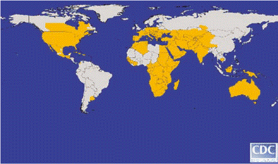 File:Global distribution of West Nile virus-CDC.gif