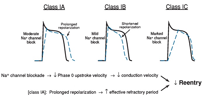 File:IPad image 2015-5-25-1435238186649 0.jpg