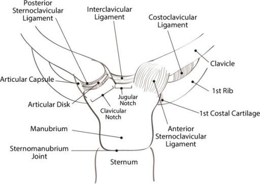 File:PMC3898097 1754-9493-7-38-1.png