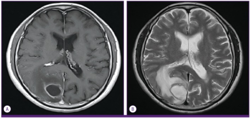 File:PMC3970313 ic-46-45-g001.png