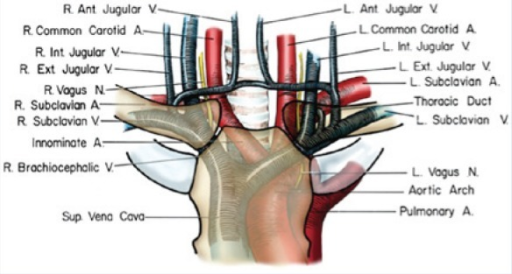 File:PMC4481669 10.1177 1941738113502153-fig11.png