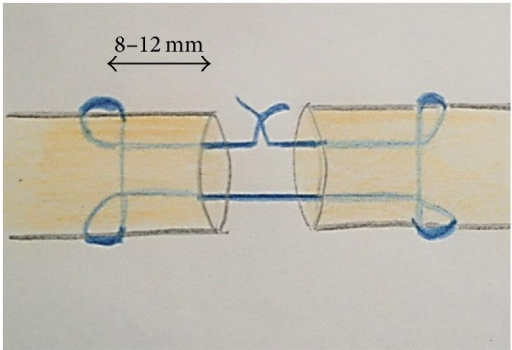 File:PMC4944031 BMRI2016-4063137.001.png