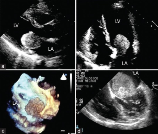 File:PMC5412748 JCE-27-33-g007.png