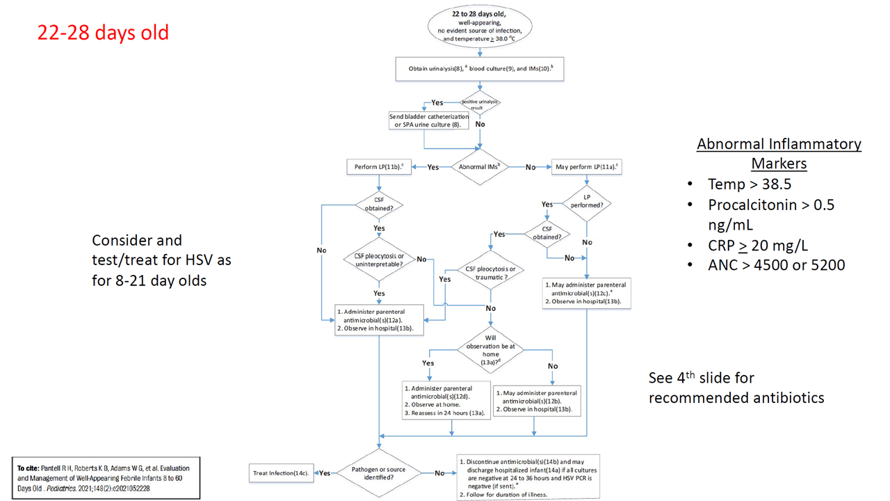 Peds fever 22-28 days.PNG