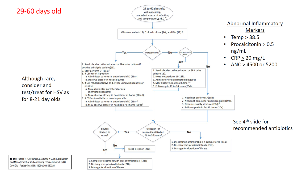 Peds fever 29-60 days.PNG