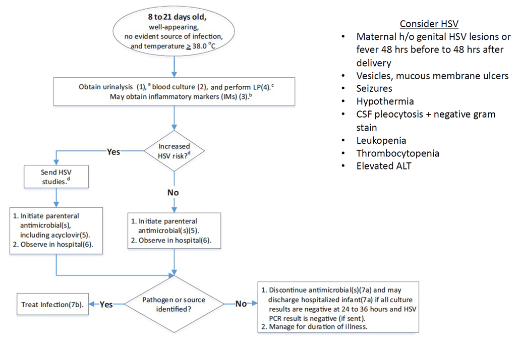 8-21 day algorithm