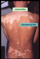 Thumbnail for version as of 11:45, 1 December 2013