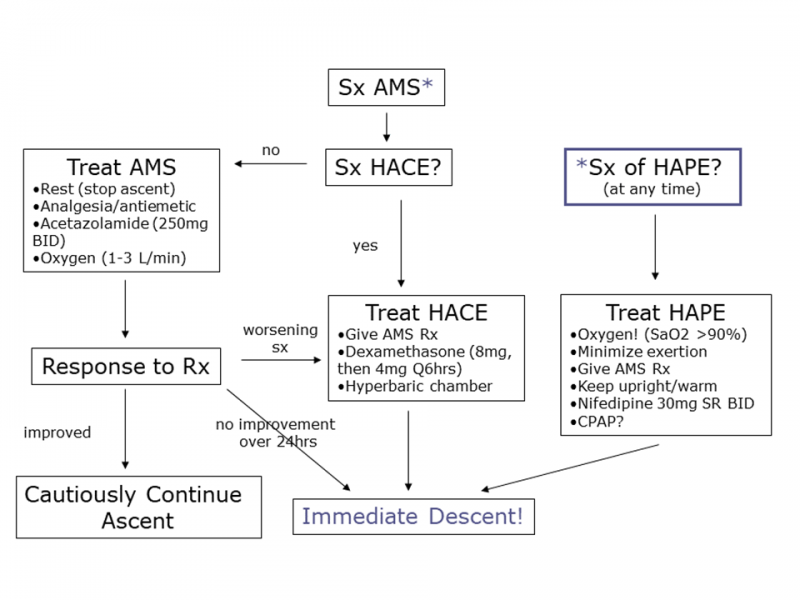 File:Altitude flow sheet.png