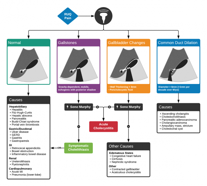 File:Biliary Ultrasound.png