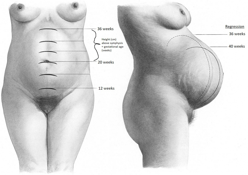 File:Bumm 123 lg - Copy.jpg