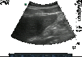 Thumbnail for version as of 22:43, 7 April 2016