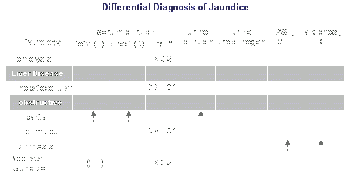 Lab test for jaundice