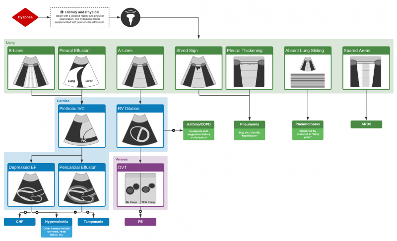 File:Dyspnea Ultrasound.png