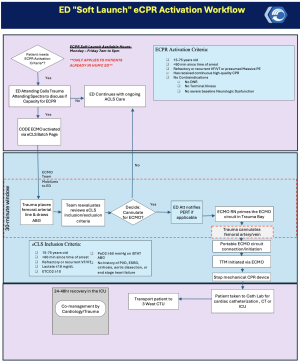 ECPR First Phase Activation Flowsheet.png