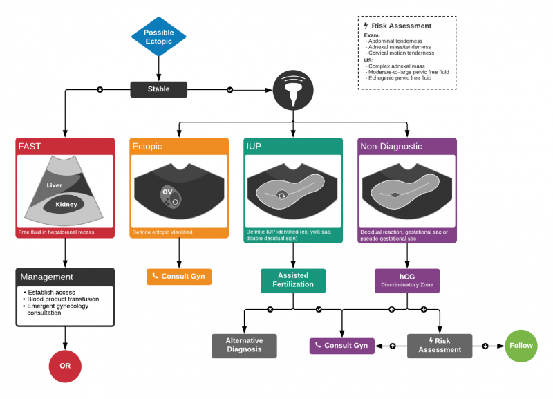 File:Ectopic Ultrasound.png