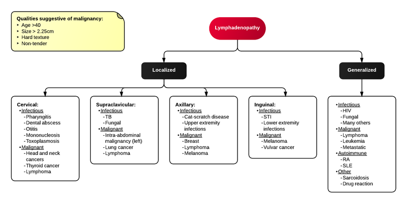 File:Evaluation of Lymphadenopathy.png