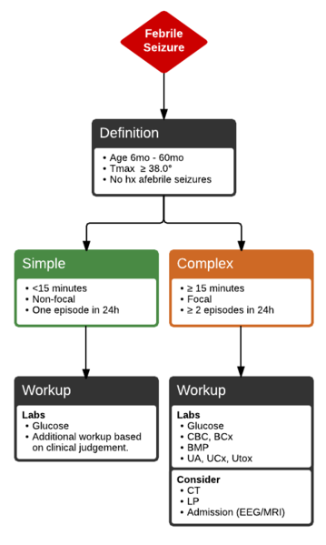 File:Febrile Seizure.png