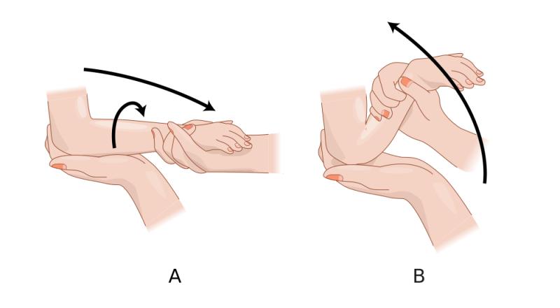 File:Fixing nursemaid elbow hariadhi.png