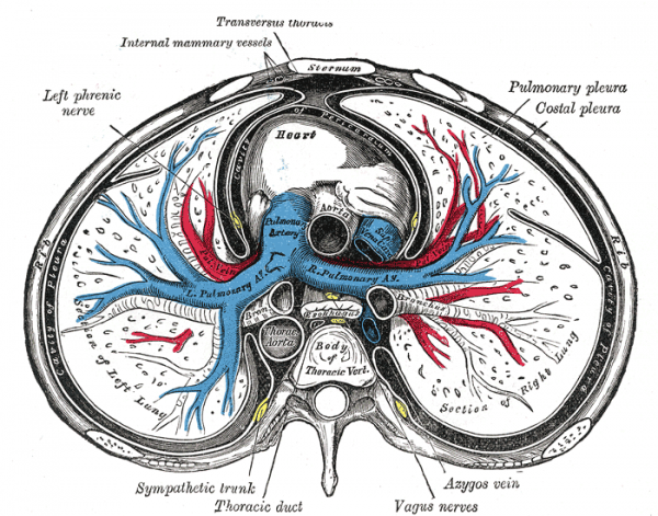 Pneumomediastinum - WikEM