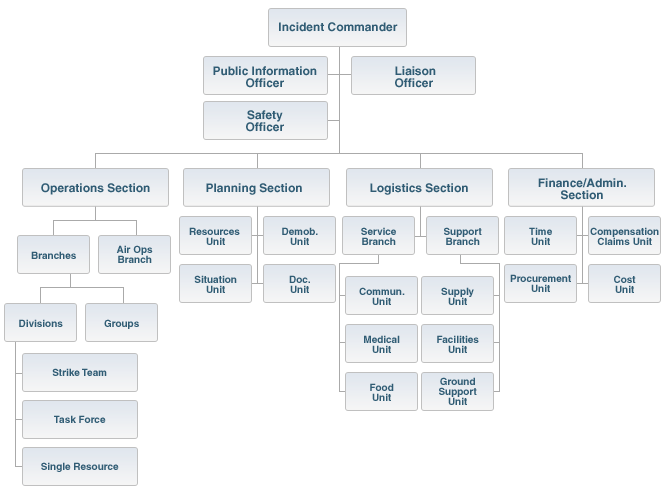 File:ICS org chart.bmp