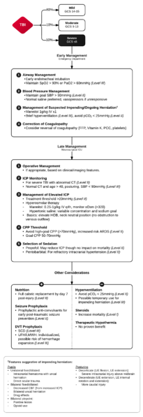 File:Management severe tbi.png