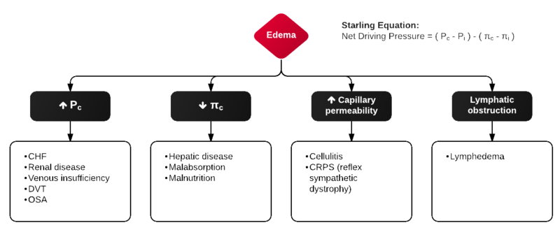 File:Mechanisms of Lower Extremity Edema.png