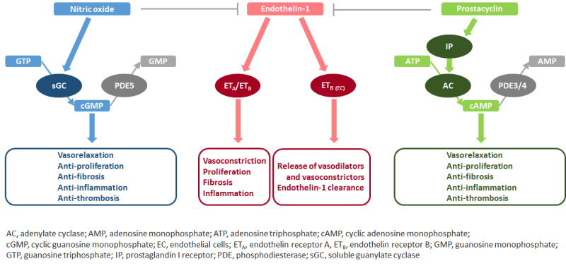 File:Molecular Pathology.png