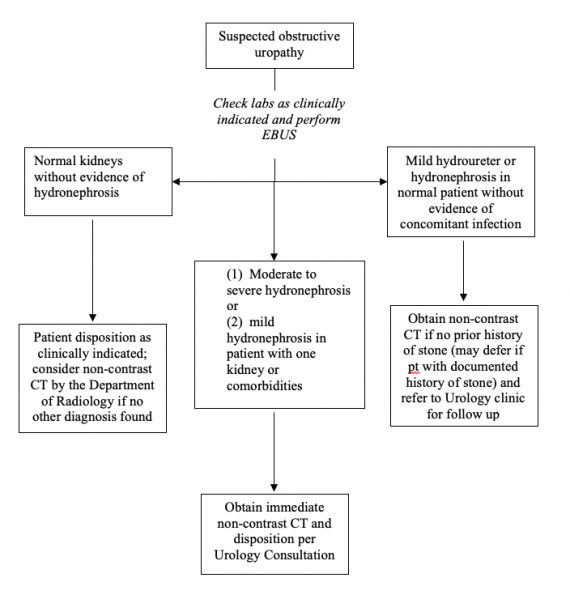 File:Obstructive Uropathy.png