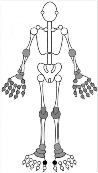 File:PMC3117776 1757-1146-4-13-1.png