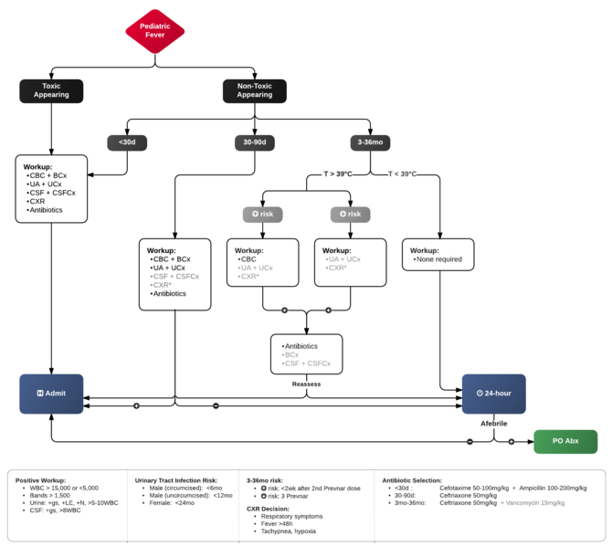 File:Pediatric Fever.png