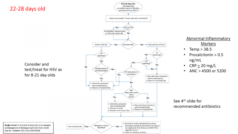 File:Peds fever 22-28 days.PNG