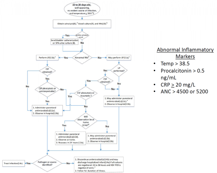 File:Peds fever 22-28 days (2.0).PNG