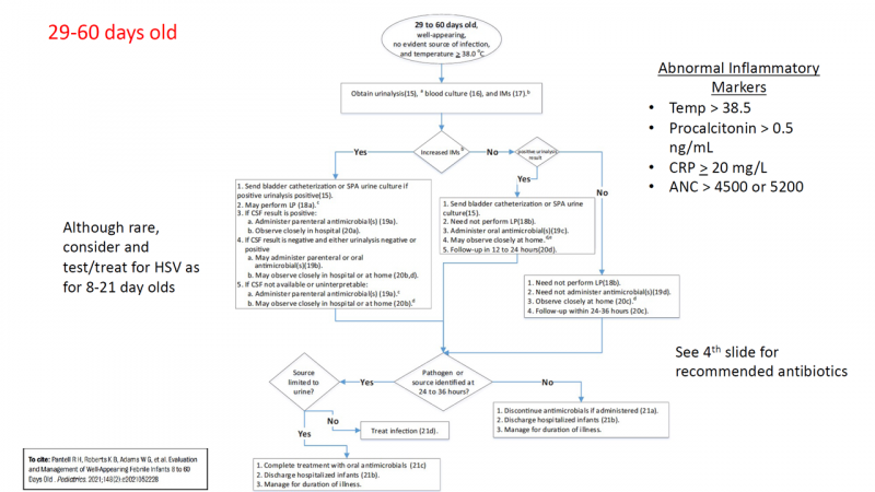 File:Peds fever 29-60 days.PNG