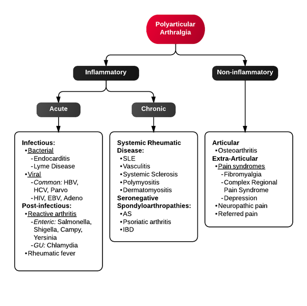 File:Polyarticular arthralgia.png