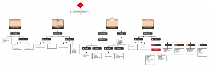 File:Rash algorithm.png