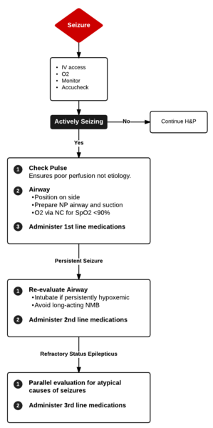 File:Seizure Management.png