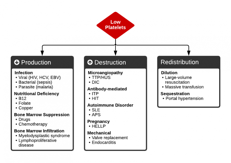 File:Thrombocytopenia.png
