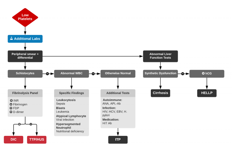 File:Thrombocytopenia Evaluation.png