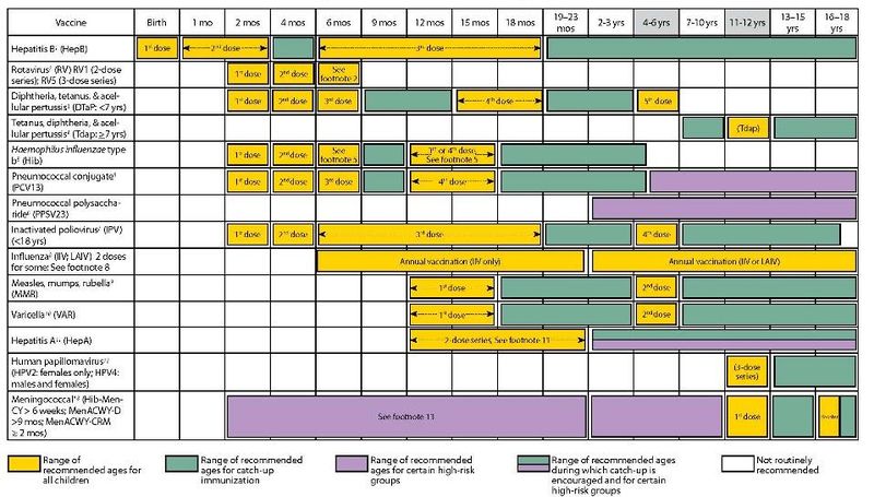 File:Vaccination Schedule.jpg