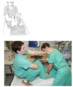 Waddell Technique.jpg