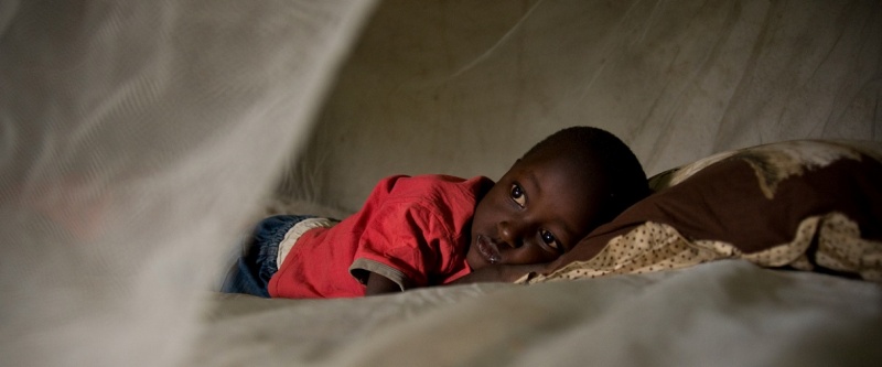 File:Wmd 2020 flex.jpg