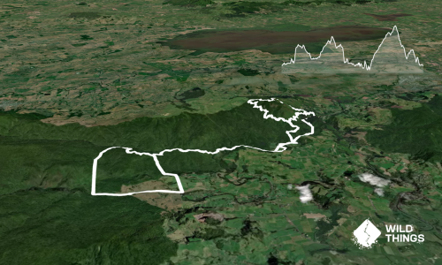Karangahake Marathon