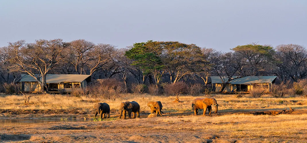 Verney's Camp, Hwange National Park