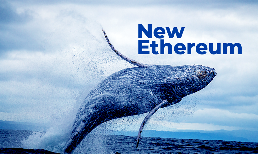 Ethereum Whale